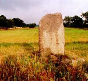 Runenstein auf Öland (Südschweden)