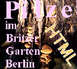 Pilze im Britzer Garten Berlin-HTML